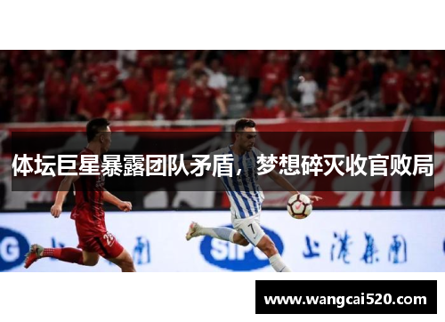 体坛巨星暴露团队矛盾,梦想碎灭收官败局